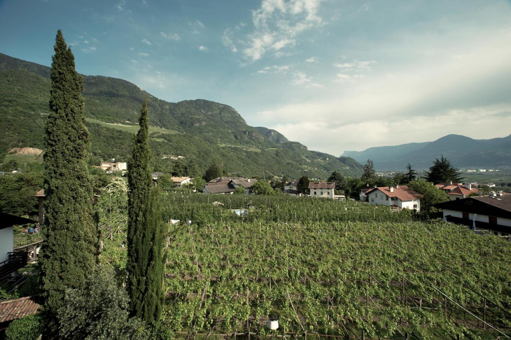 Hotel Ladurner Merano Dış mekan fotoğraf
